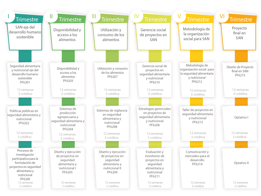 MGSAN plan curricular2